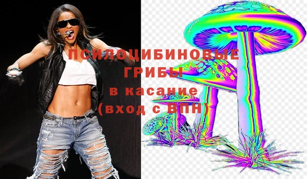прущие крисы Белокуриха