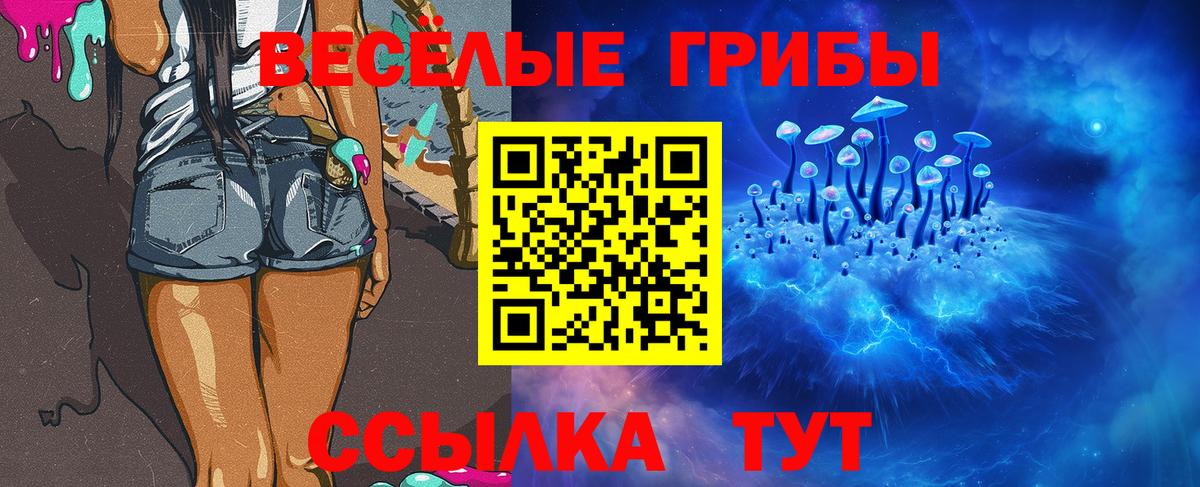Галлюциногенные грибы прущие грибы  Псилоцибиновые грибы Psilocybine cubensis  Вход с VPN  Богородицк 